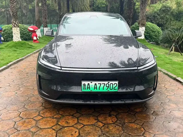 Tesla Model Y 2025 Rear-Wheel Drive