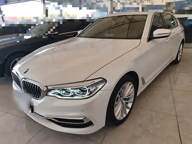 BMW 5 Series 2020 530Li Leading Luxury Package
