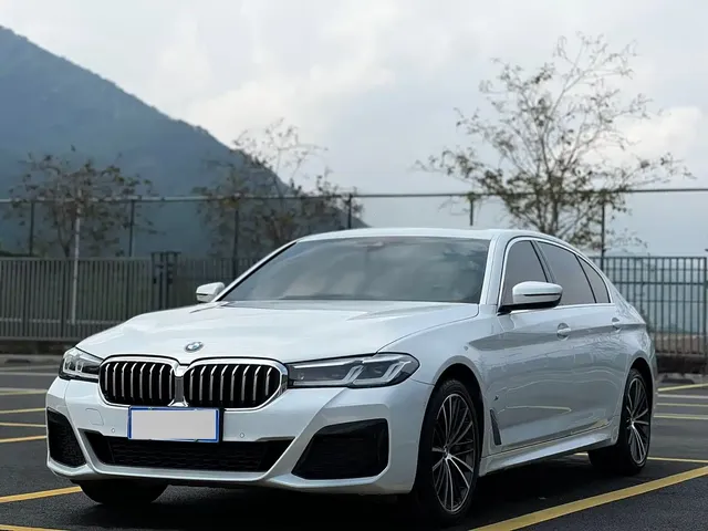 BMW 5 Series 2021 530Li Leading M Sport Package