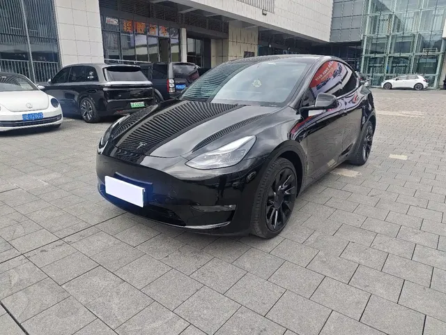 Tesla Model Y 2021 Long Range All-Wheel Drive 3D7