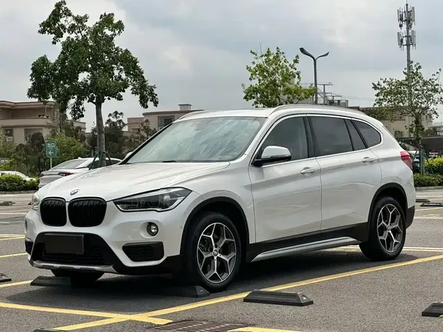 BMW X1 2019 xDrive20Li Premium Model