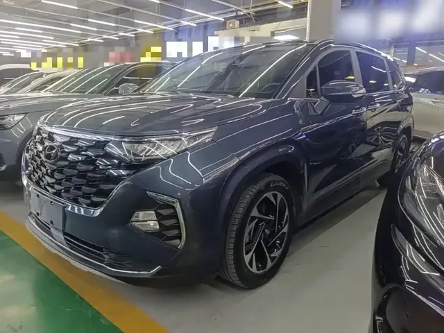 Hyundai Kustu 2021 380TGDi Smart Love Flagship TOP Premium