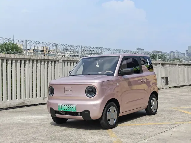 Geely Galaxy Panda 2023 Panda Mini 200km Endurance Bear