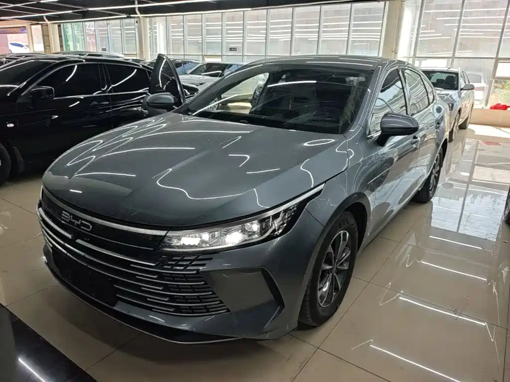 BYD Destroyer 05 2023 Champion Edition DM-i 55KM Luxury