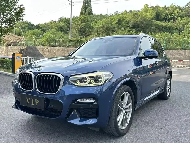 BMW X3 2018 xDrive30i Leading M Sport Package China V