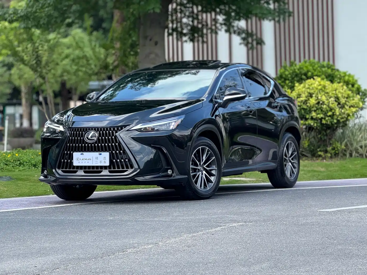 Lexus NX 2023 350h FWD Joy Creation Edition