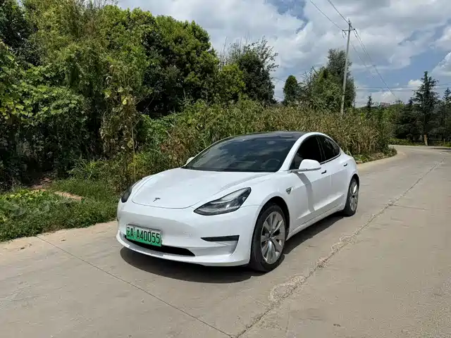 Tesla Model 3 (Import) 2019 Performance High-Efficiency All-Wheel Drive Version