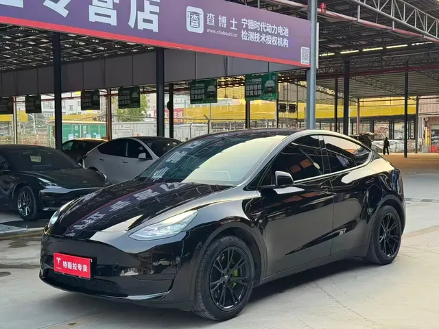 Tesla Model Y 2022 Rear-Wheel Drive Version