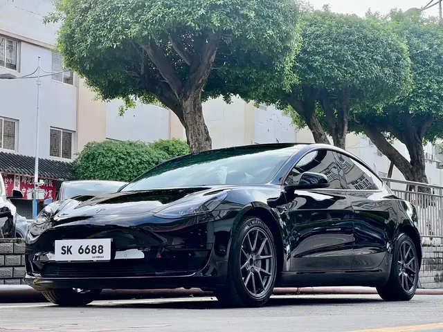 Tesla Model 3 2022 Model Rear-Wheel Drive Version