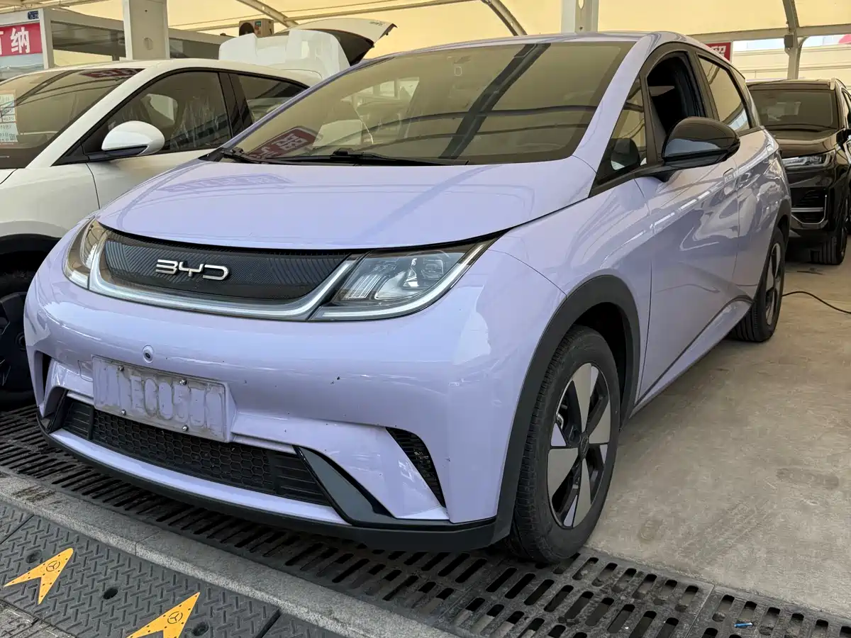 BYD Dolphin 2024 Glory Edition 420km Freedom Edition