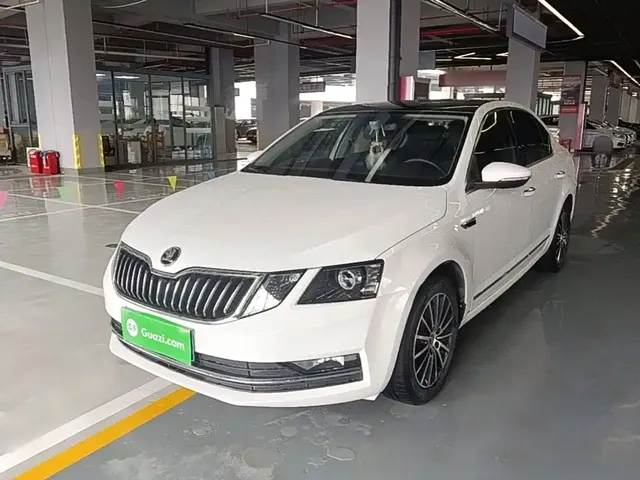 Škoda Octavia 2019 TSI230 DSG Zhixing Luxury Edition China VI