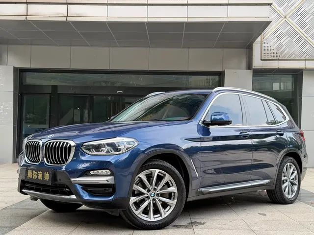 BMW X3 2018 xDrive25i Luxury Package China V