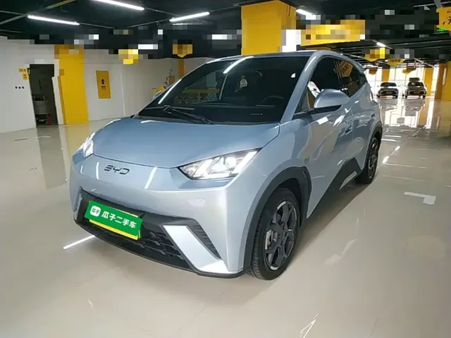 BYD Seagull 2024 Glory Edition 305km Freedom Edition