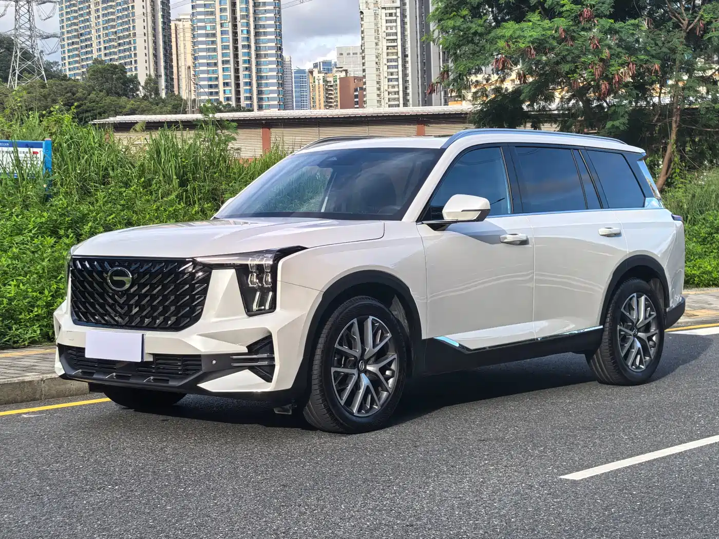 GAC Trumpchi GS8 2025 Pilot Series 2.0TGDI 2WD Luxury Edition 5-seater