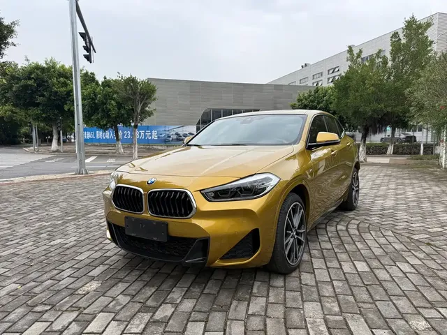 BMW X2 2020 sDrive25i Exclusive M Sport Package