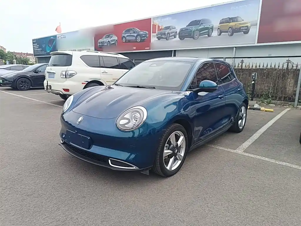 Ora Good Cat 2023 401km Standard Range Luxury LFP