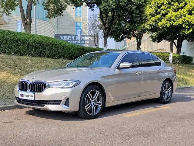 BMW 5 Series 2021 530Li Leading Luxury Package