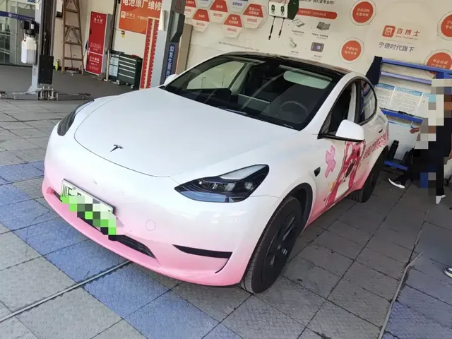 Tesla Model Y 2024 Rear-Wheel Drive Version