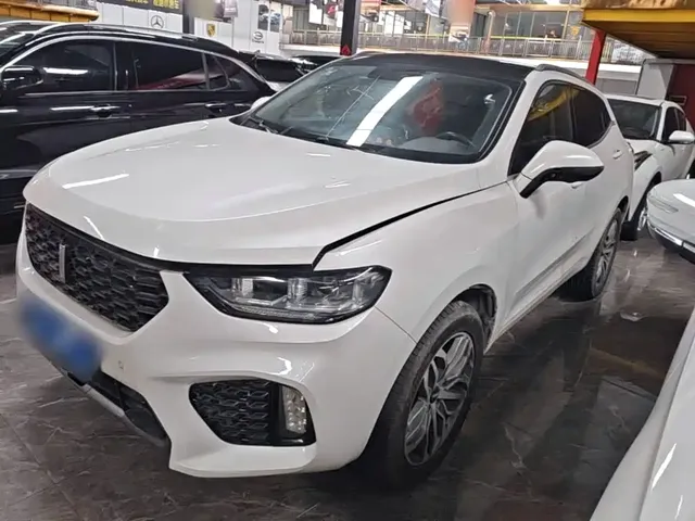 WEY VV5 2019 Upgrade 2.0T 2WD Ultra Luxury China V