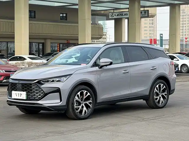 BYD Tang New Energy 2025 DM-i 115KM Premium