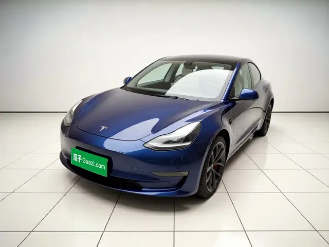 Tesla Model 3 2021 Performance High-Performance All-Wheel Drive 3D6