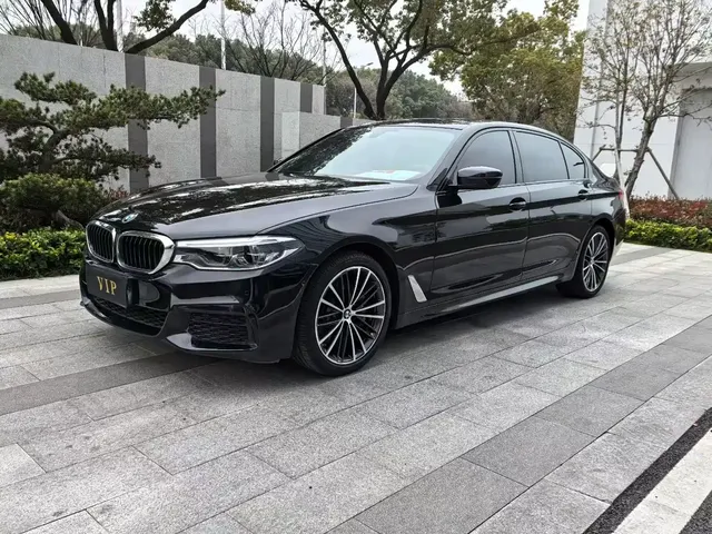 BMW 5 Series 2020 530Li Leading M Sport Package