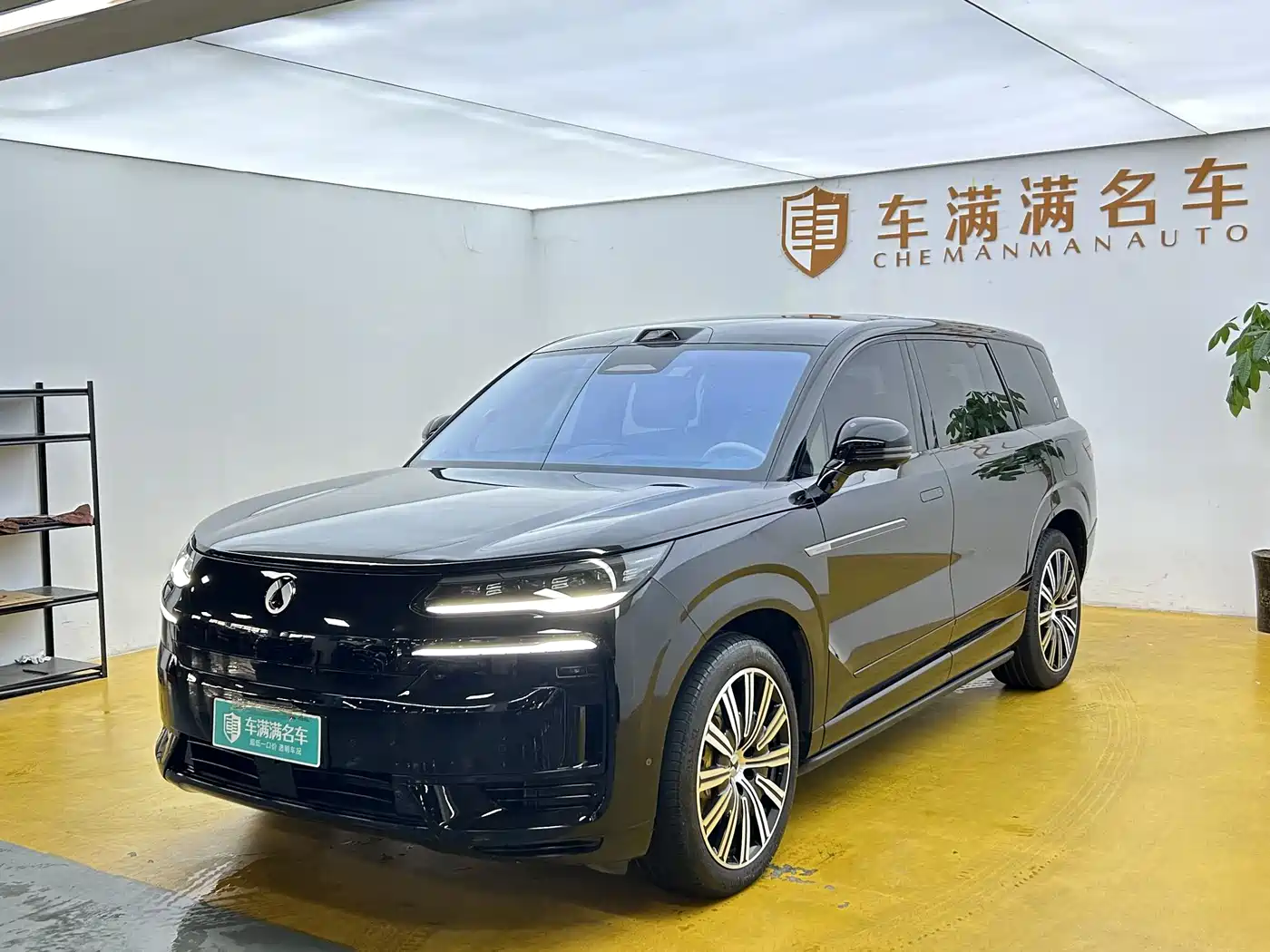 Denza N9 2025 Flagship Model