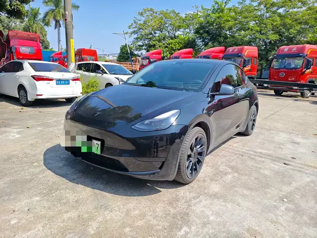 Tesla Model Y 2022 Rear-Wheel Drive Version