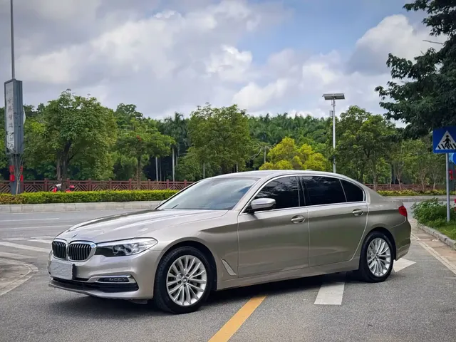 BMW 5 Series 2019 530Li Leading Luxury Package