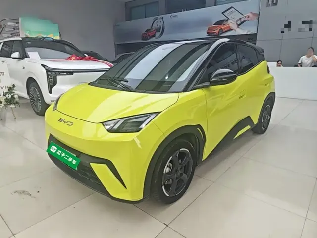 BYD Seagull 2024 Glory Edition 305km Freedom Edition