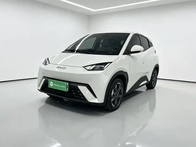BYD Seagull 2024 Glory Edition 305km Freedom Edition