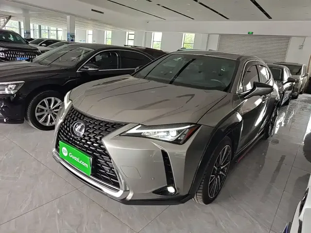 Lexus UX 2020 260h Explore Fun Edition