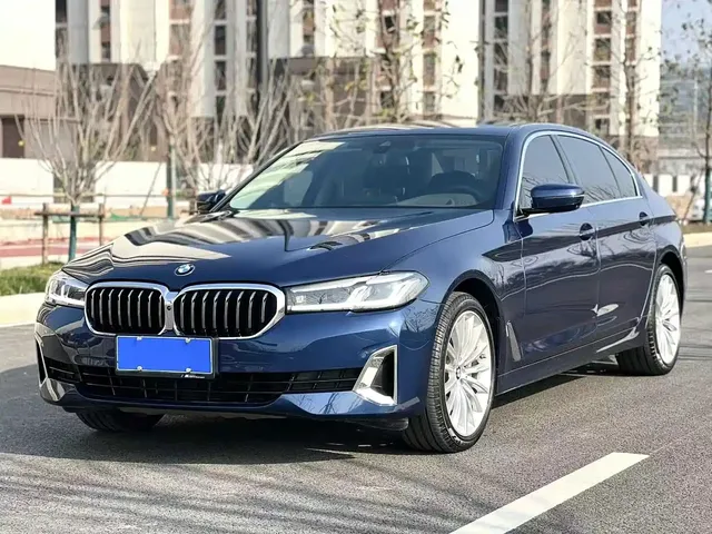 BMW 5 Series 2021 530Li Premium Luxury Package