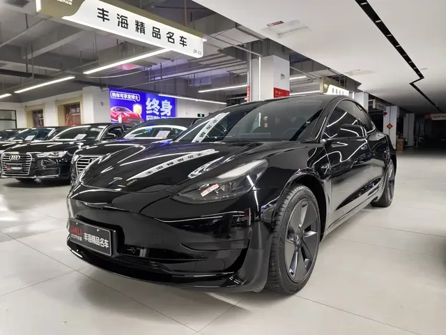 Tesla Model 3 2021 Standard Range Rear-Wheel Drive Upgrade