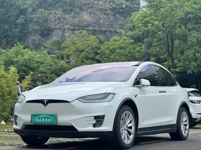 Tesla Model X 2017 Model X 100D Long Range