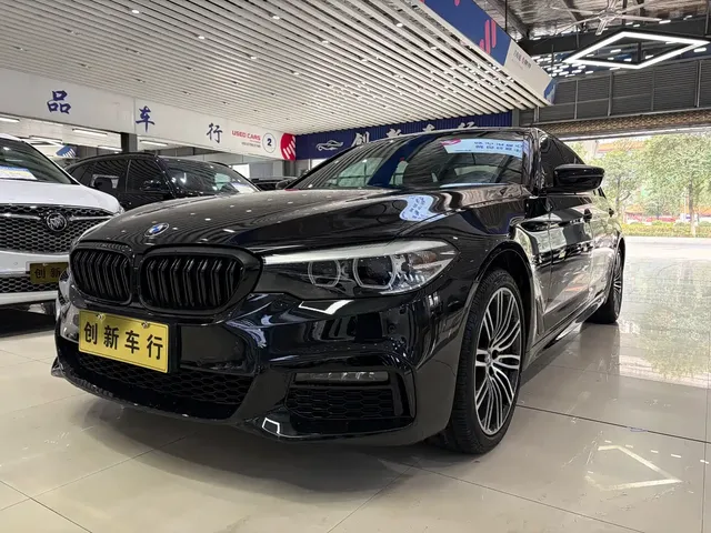 BMW 5 Series 2019 530Li Leading M Sport Package