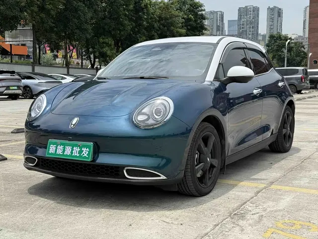 Ora Good Cat 2024 501km Premium