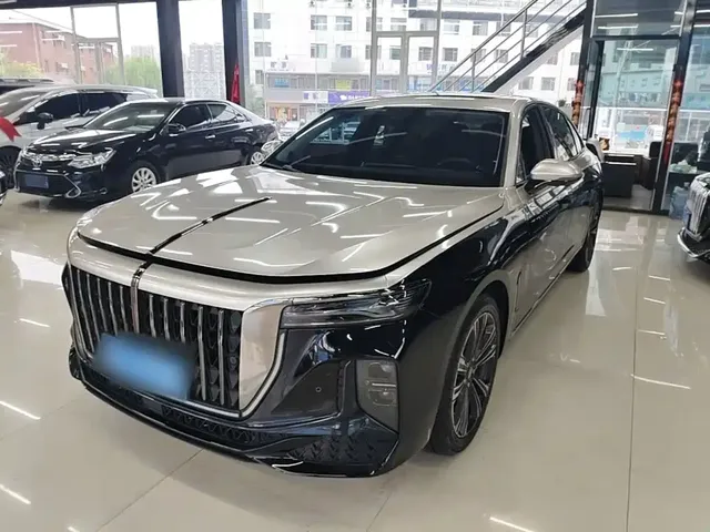 Hongqi H9 2024 2.0T Qi Enjoy Private Fashion Edition