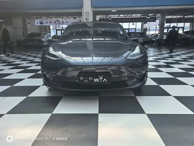Tesla Model 3 (Import) 2019 Long Range All-Wheel Drive Edition