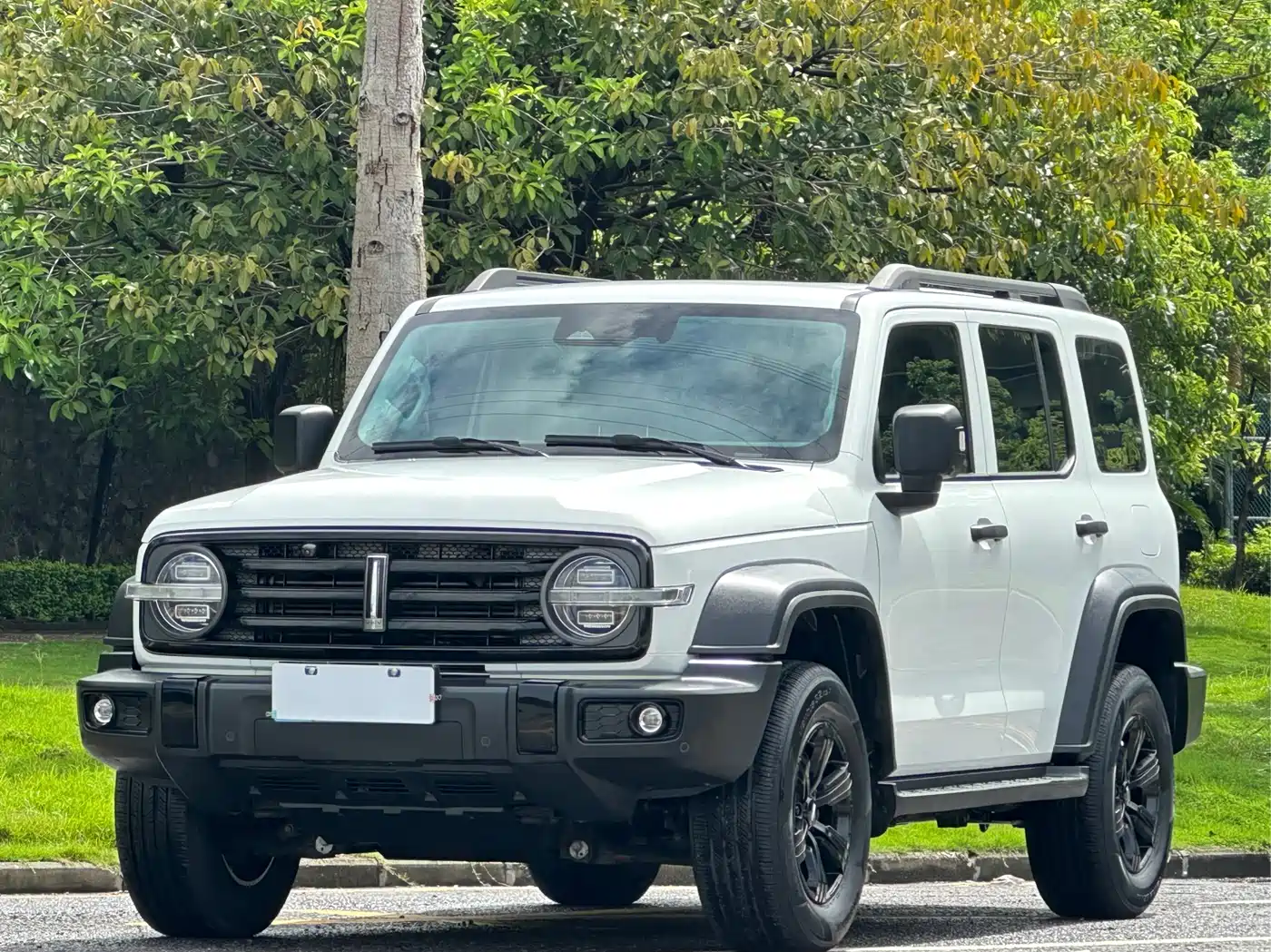 Tank 300 2021 Off-road Version 2.0T Conqueror