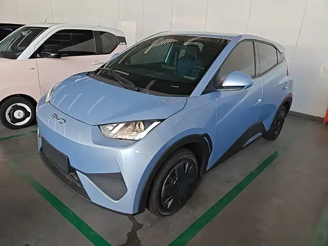 BYD Seagull 2025 Smart Drive Edition 305km Vitality Version