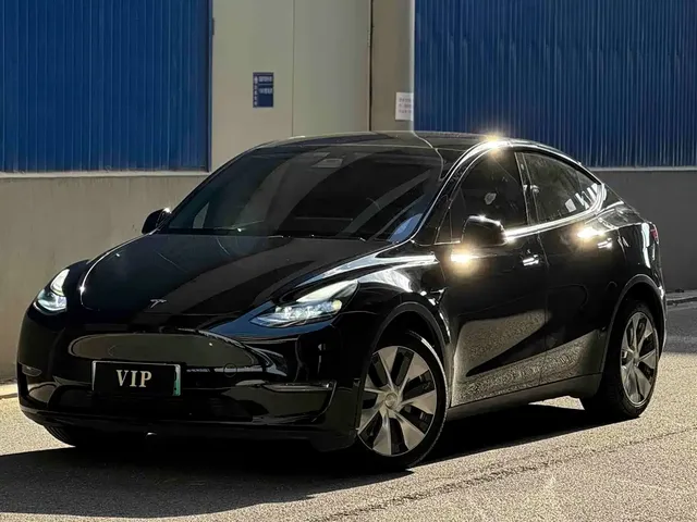 Tesla Model Y 2021 Long Range All-Wheel Drive 3D7