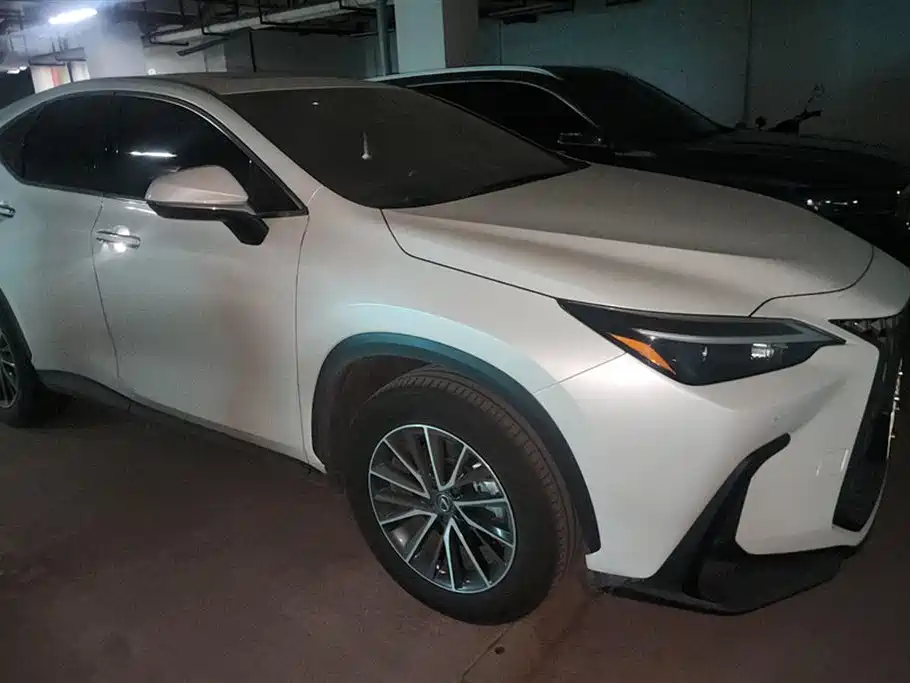 Lexus NX New Energy 2023 400h+ Joy Edition