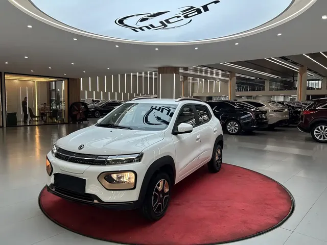 Dongfeng Yipai Nano BOX 2022 Wind Chaser Edition 351KM Advanced