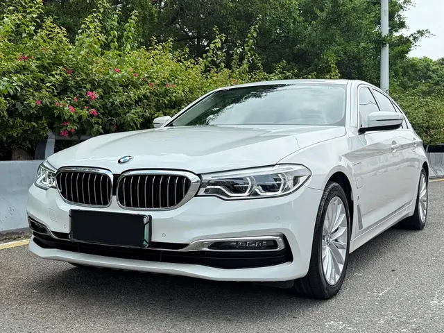BMW 5 Series New Energy 2019 530Le Luxury Package