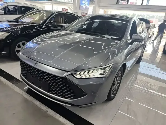 BYD Qin PLUS 2021 DM-i 55KM Flagship