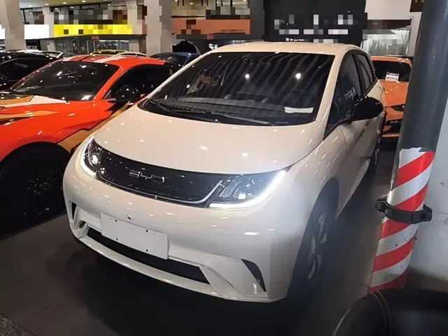 BYD Dolphin 2025 420km Freedom Edition