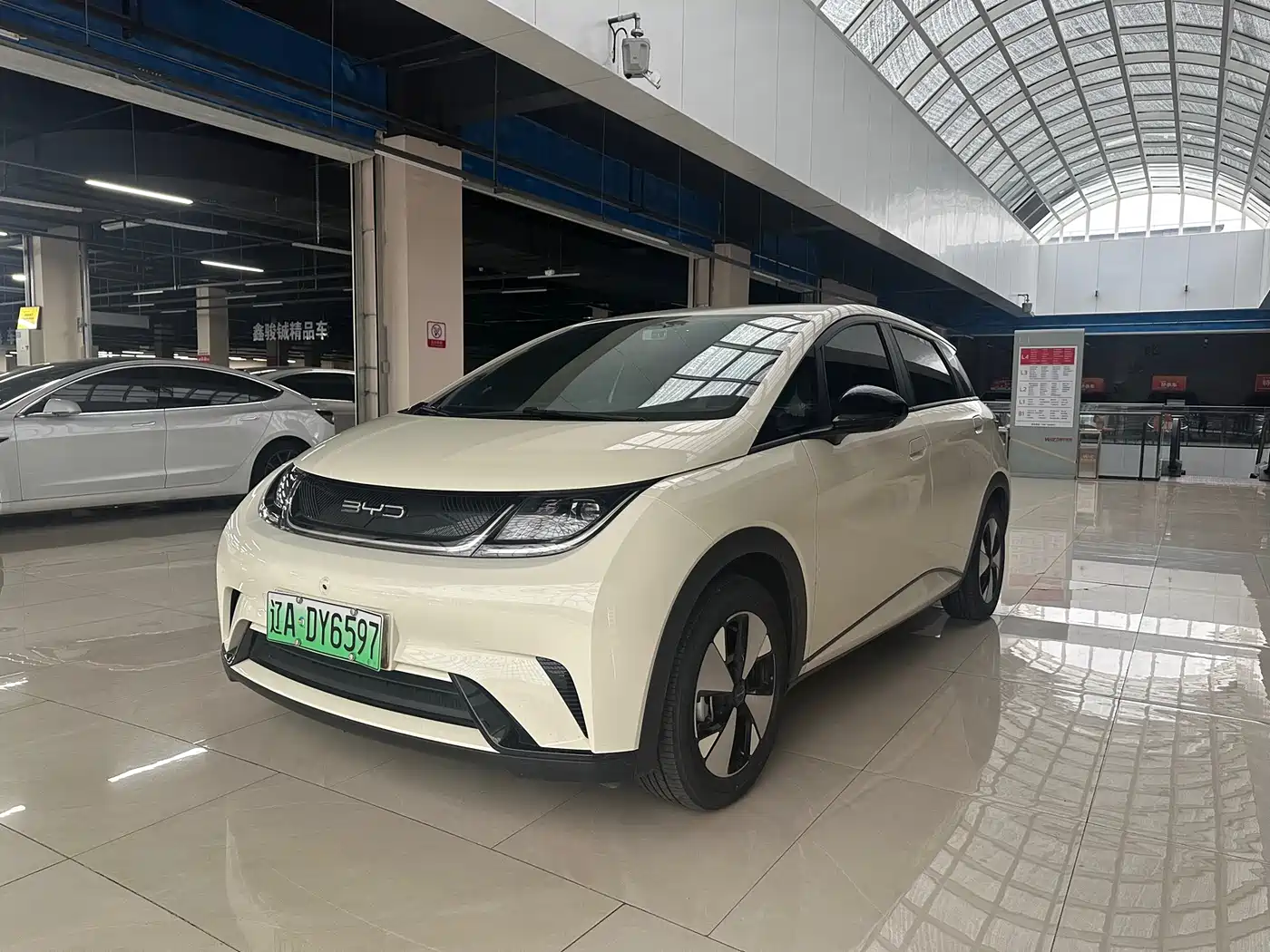 BYD Dolphin 2023 420km Freedom Edition