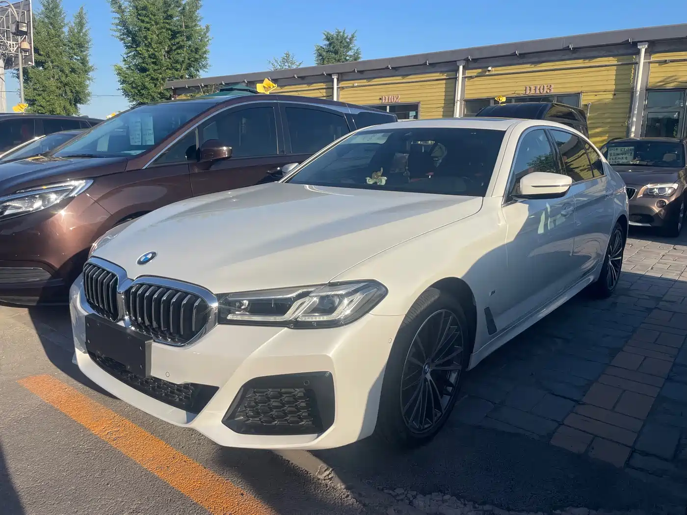 BMW 5 Series 2022 530Li Leading Luxury Package