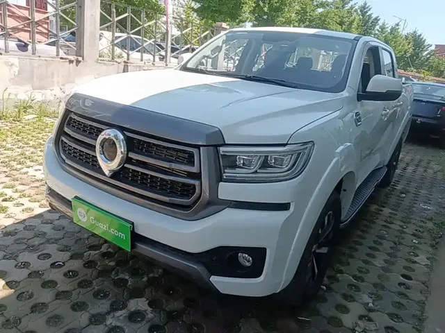 Great Wall Pao 2024 Model 2.4T Passenger Version Automatic Diesel 4WD Comfort Type